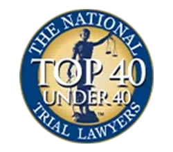 The National Trial Lawyers